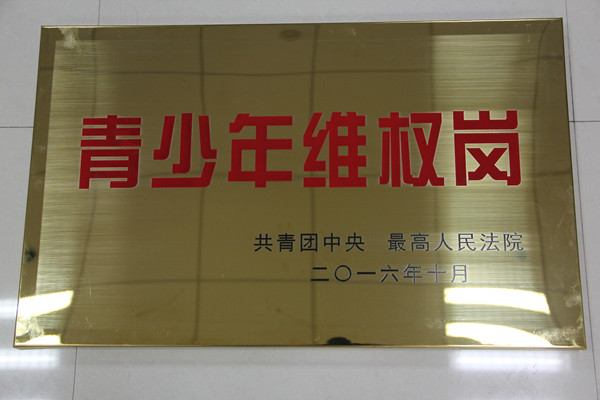 为青少年成长撑起一片蓝天 ——郴州市苏仙区人民法院民一庭荣获全国“青少年维权岗”称号